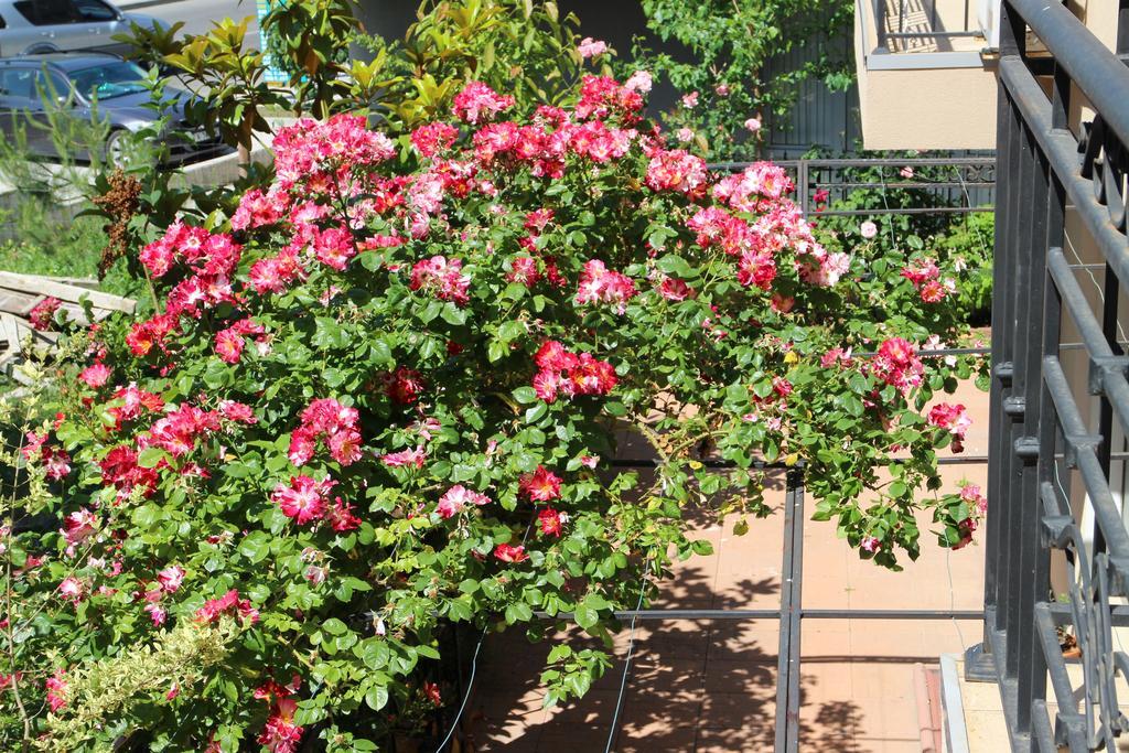 Flowers Apartments Nessebar Exterior foto